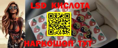 крисы Коммунар