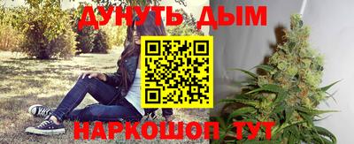 крисы Коммунар