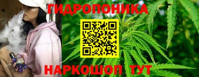 гидра Михайловск