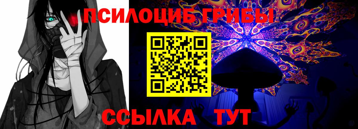 Галлюциногенные грибы мухоморы  где можно купить   Королёв  Галлюциногенные грибы GOLDEN TEACHER  Вход с VPN 